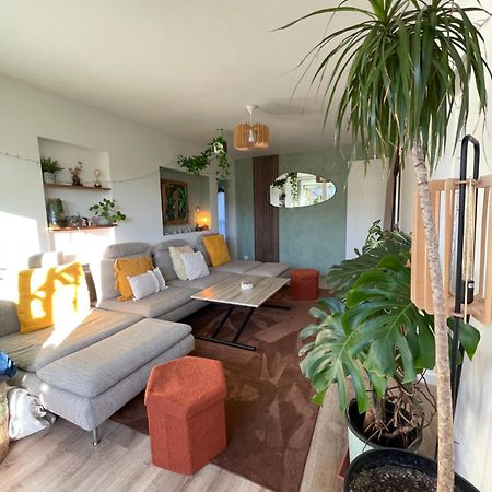 Appartement T3 - Foret & Plage Anglet Eksteriør billede