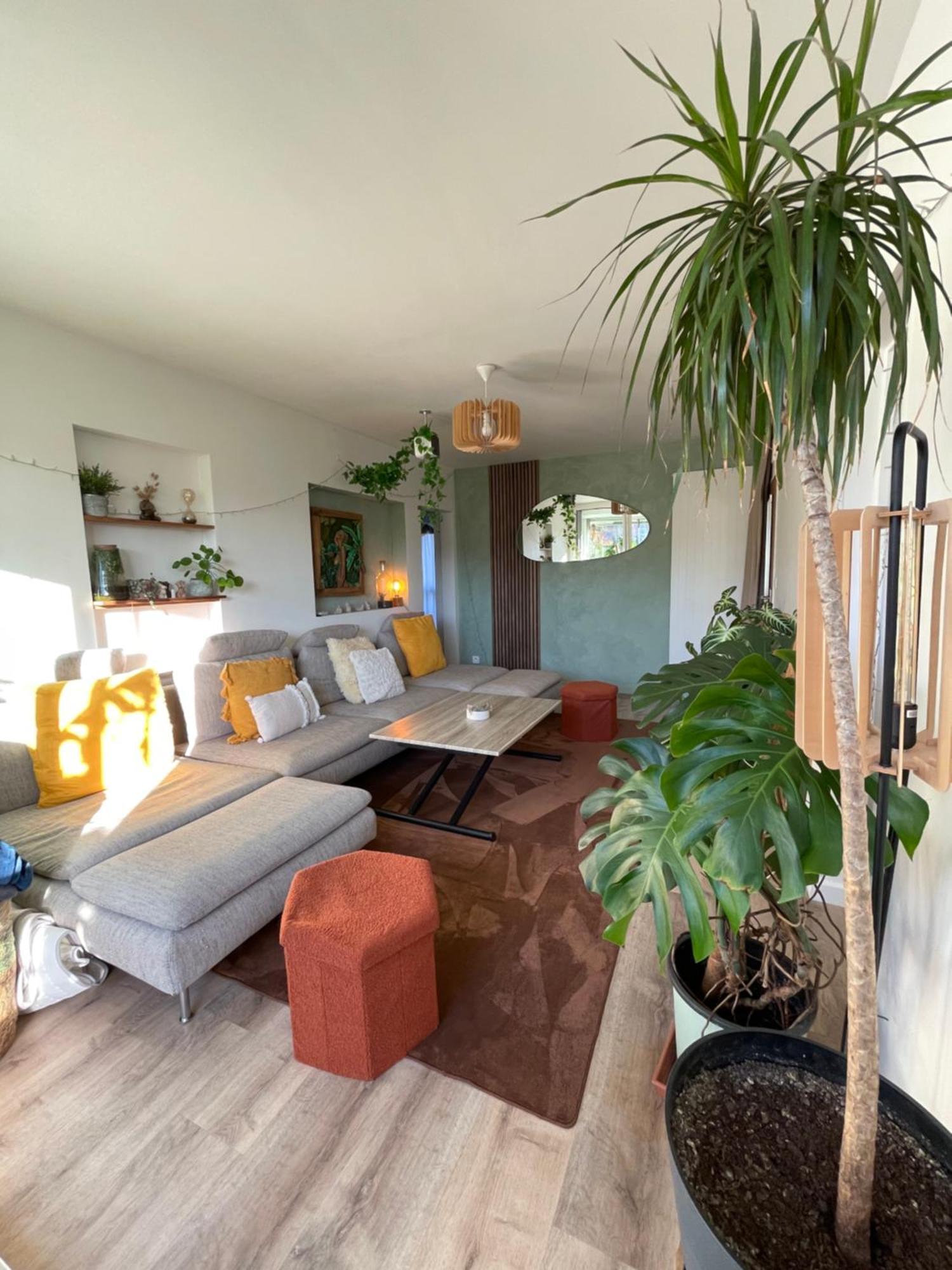 Appartement T3 - Foret & Plage Anglet Eksteriør billede