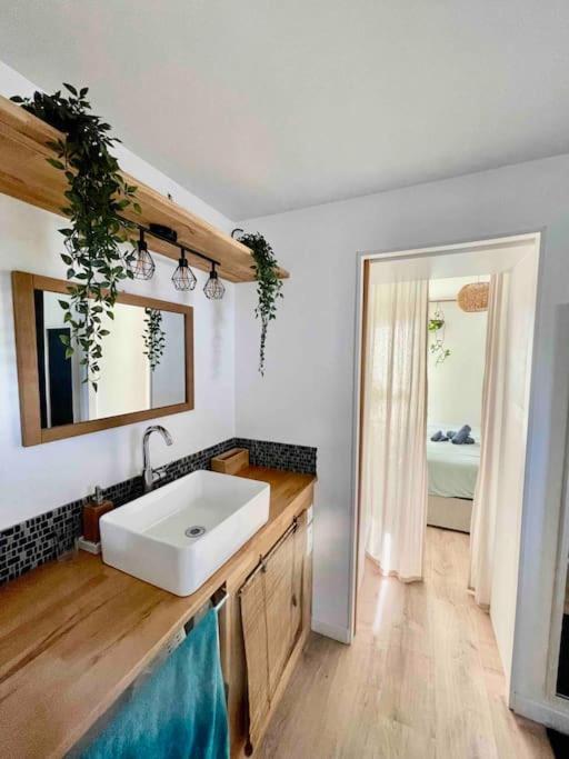 Appartement T3 - Foret & Plage Anglet Eksteriør billede